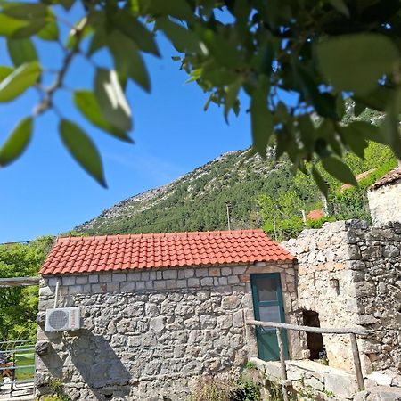 Cottage Melita The Apartment For Animal Lovers Babino Polje Exteriér fotografie