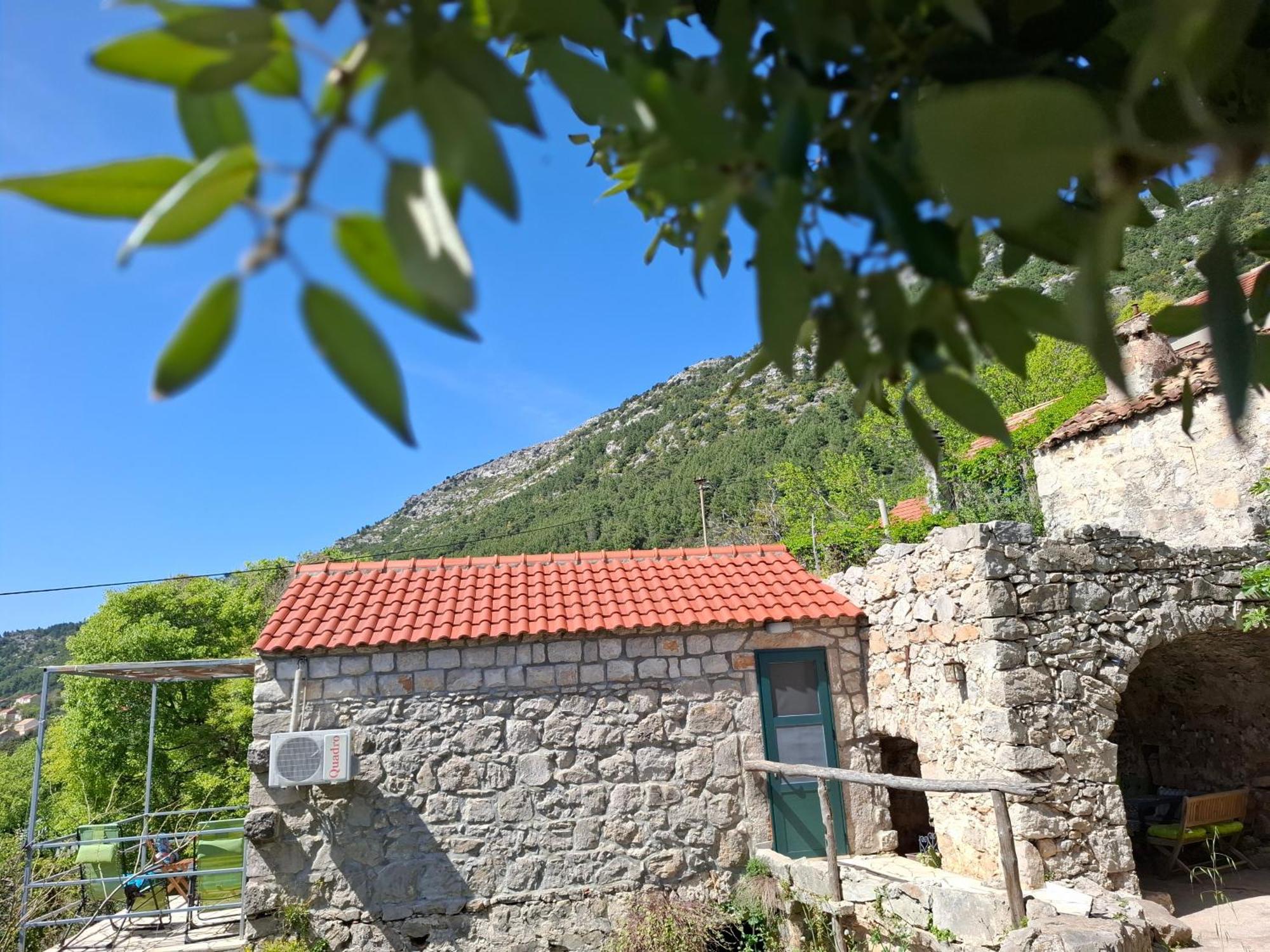 Cottage Melita The Apartment For Animal Lovers Babino Polje Exteriér fotografie