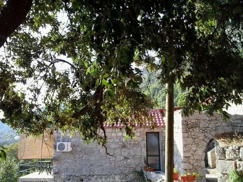 Cottage Melita The Apartment For Animal Lovers Babino Polje Exteriér fotografie