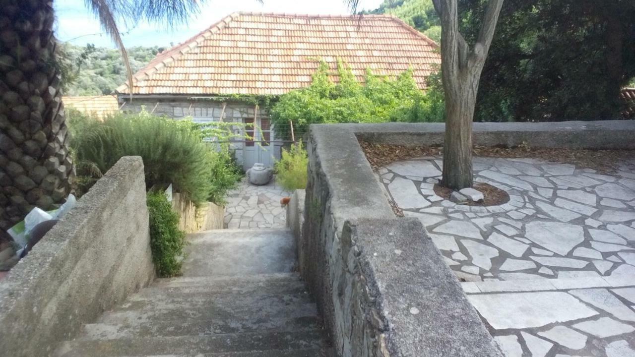 Cottage Melita The Apartment For Animal Lovers Babino Polje Exteriér fotografie