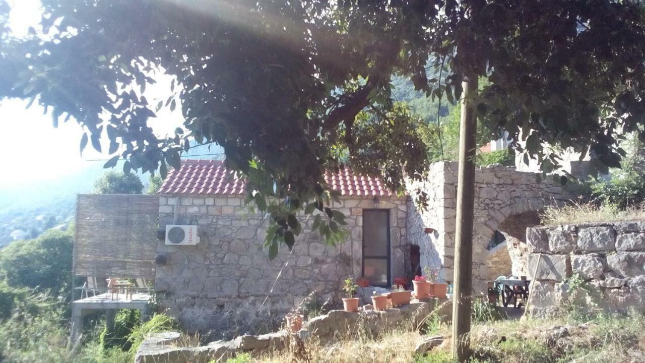 Cottage Melita The Apartment For Animal Lovers Babino Polje Exteriér fotografie