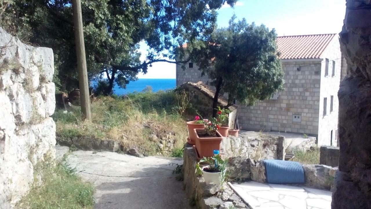 Cottage Melita The Apartment For Animal Lovers Babino Polje Exteriér fotografie