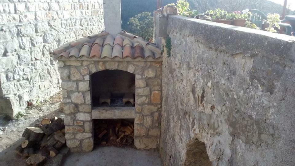 Cottage Melita The Apartment For Animal Lovers Babino Polje Exteriér fotografie