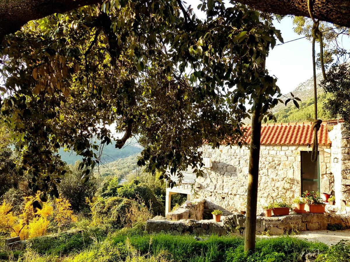 Cottage Melita The Apartment For Animal Lovers Babino Polje Exteriér fotografie