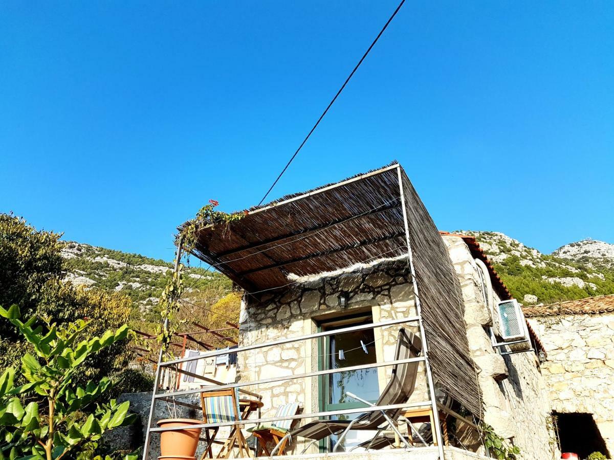Cottage Melita The Apartment For Animal Lovers Babino Polje Exteriér fotografie