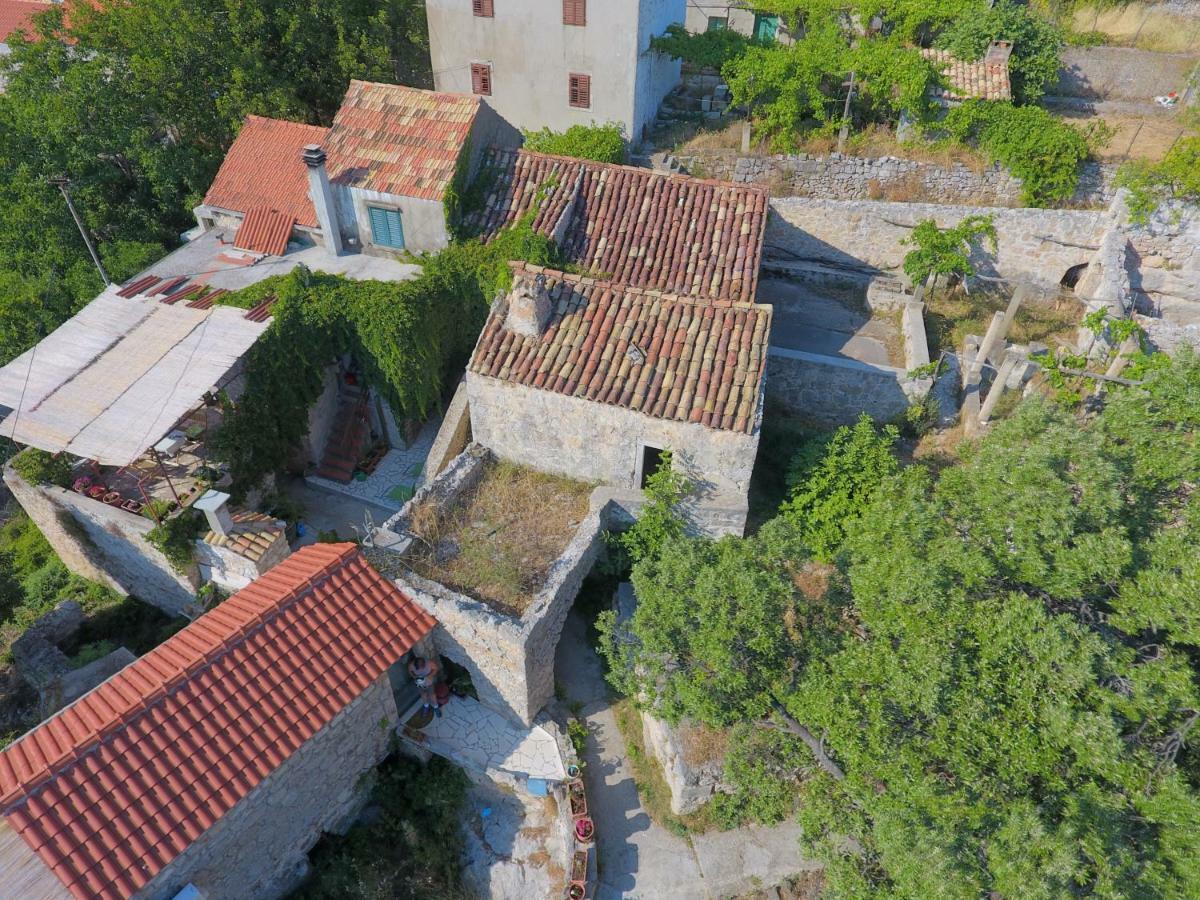 Cottage Melita The Apartment For Animal Lovers Babino Polje Exteriér fotografie