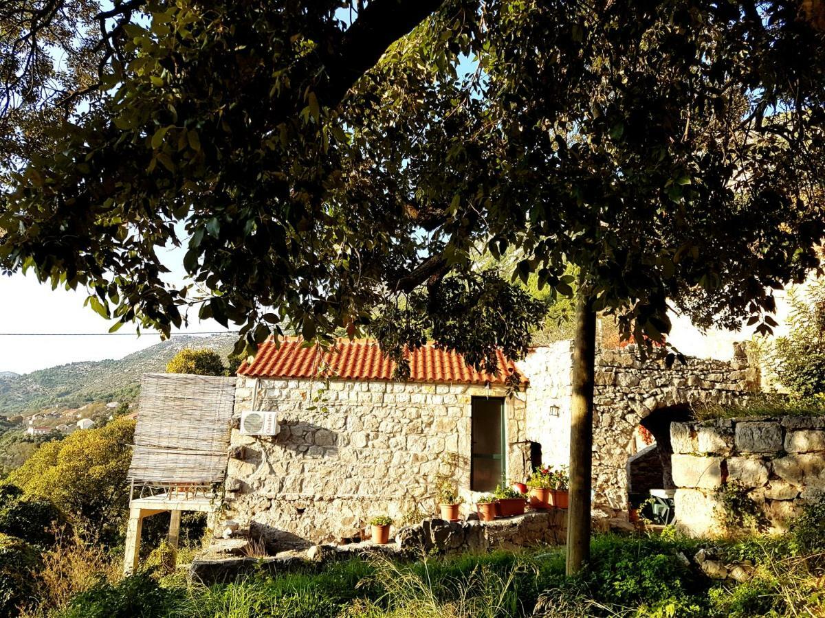 Cottage Melita The Apartment For Animal Lovers Babino Polje Exteriér fotografie